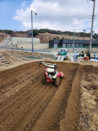 정미옥님의 기타작물 · 영농일지 작성글 사진