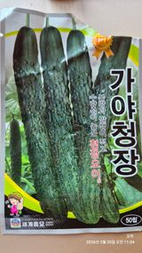 토마토11823님의 작성글 사진