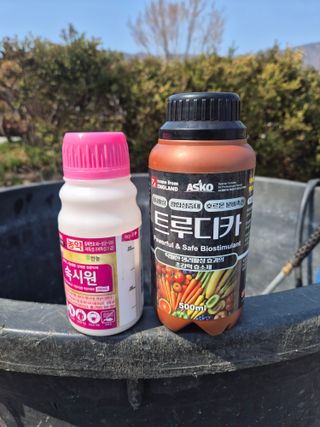 조성민님의 배추 · 영농일지 작성글 사진