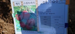 이형근님의 기타작물 · 영농일지 작성글 사진