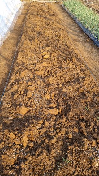 김지철님의 기타작물 · 영농일지 작성글 사진