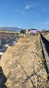 팜모닝 기타작물·영농일지 게시글 이미지