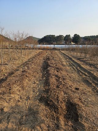 조정훈님의 기타작물 · 영농일지 작성글 사진