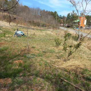 김건우님의 기타작물 · 영농일지 작성글 사진