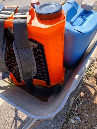 최유순님의 마늘 · 영농일지 작성글 사진