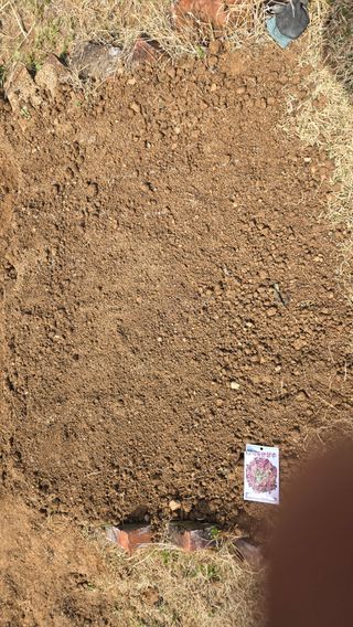 윤두현님의 상추 · 영농일지 작성글 사진