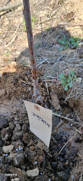 이형근님의 기타작물 · 영농일지 작성글 사진