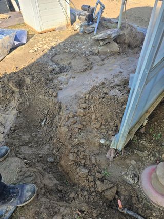 비타민님의 기타작물 · 영농일지 작성글 사진