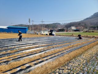 김길수님의 기타작물 · 영농일지 작성글 사진