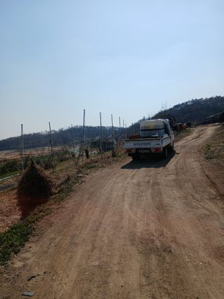 성재엄마님의 복숭아 · 영농일지 작성글 사진