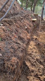 권혁렬님의 작성글 사진