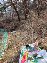 팜모닝 기타작물·영농일지 게시글 이미지