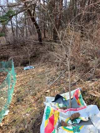 이근우님의 기타작물 · 영농일지 작성글 사진