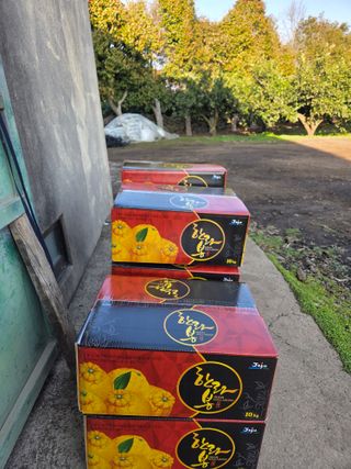 산방자연농원님의 귤 · 영농일지 작성글 사진