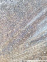 팜모닝 옥수수·영농일지 게시글 이미지