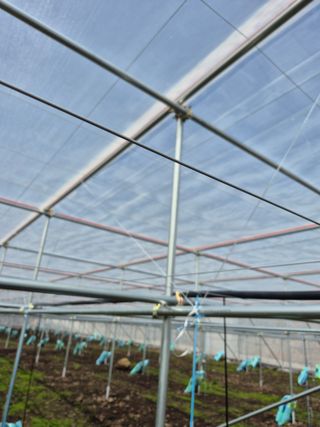 송창언님의 기타작물 · 영농일지 작성글 사진