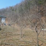 가로수님의 작성글 사진