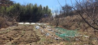 경주농장님의 기타작물 · 영농일지 작성글 사진