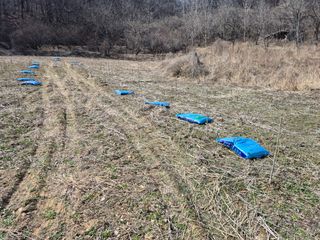 엉뚱님의 기타작물 · 영농일지 작성글 사진