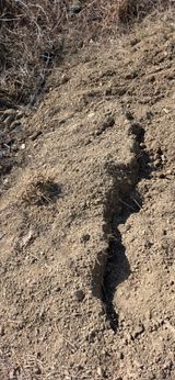 팜모닝 기타작물·영농일지 게시글 이미지