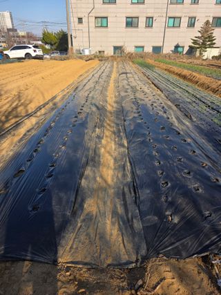 이진기님의 기타작물 · 영농일지 작성글 사진