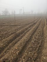 찔레골 양봉 농원님의 작성글 사진