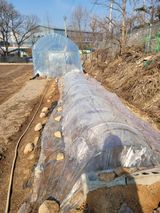 정지덕님의 작성글 사진