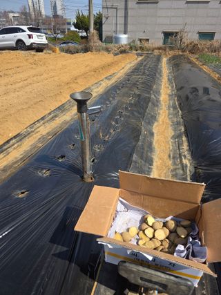 이진기님의 기타작물 · 영농일지 작성글 사진