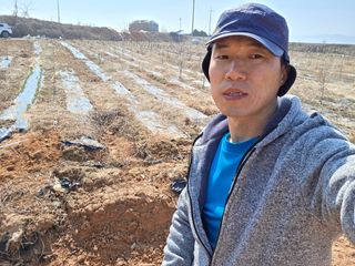 들깨19419님의 매실 · 영농일지 작성글 사진