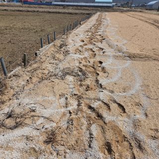 오경님의 기타작물 · 영농일지 작성글 사진