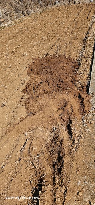 장용선 사진작가농부님의 기타작물 · 영농일지 작성글 사진