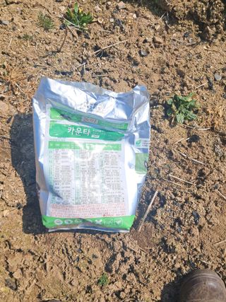 노재영님의 감자 · 영농일지 작성글 사진