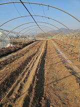 소양강님의 작성글 사진