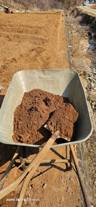 장용선 사진작가농부님의 기타작물 · 영농일지 작성글 사진