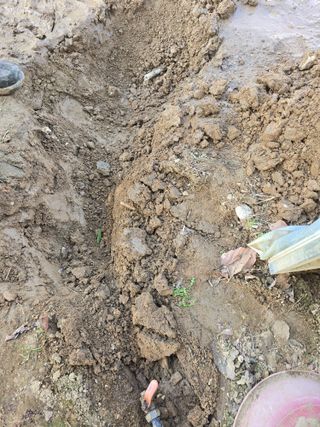 비타민님의 기타작물 · 영농일지 작성글 사진