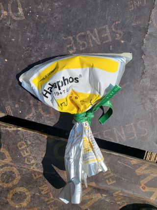 이상욱님의 고추 · 영농일지 작성글 사진