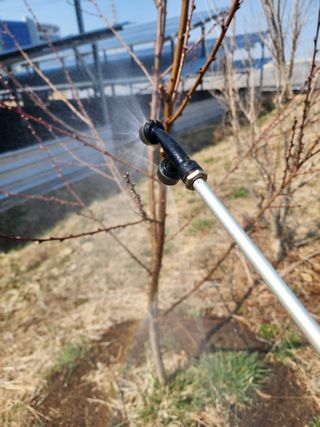 박병한님의 복숭아 · 영농일지 작성글 사진