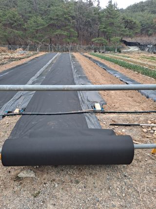 이한재님의 고추 · 영농일지 작성글 사진