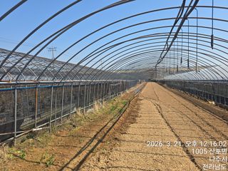 축복농장님의 감자 · 영농일지 작성글 사진