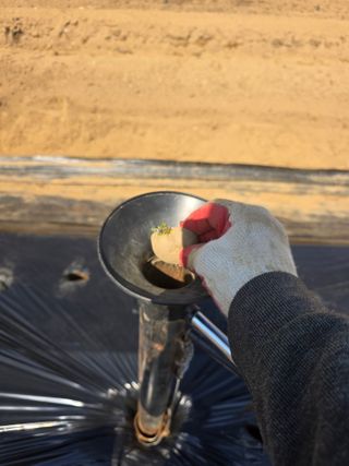 이진기님의 기타작물 · 영농일지 작성글 사진