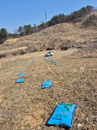 엉뚱님의 기타작물 · 영농일지 작성글 사진