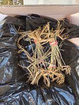 팜모닝 기타작물·영농일지 게시글 이미지