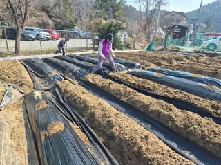 이경옥님의 기타작물 · 영농일지 작성글 사진