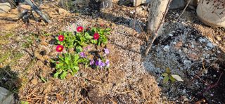 이상윤님의 복숭아 · 영농일지 작성글 사진