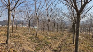 정진우님의 기타작물 · 영농일지 작성글 사진