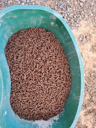 이한재님의 고추 · 영농일지 작성글 사진