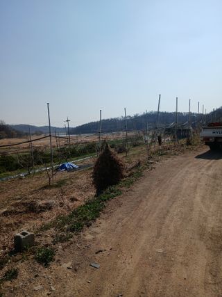 성재엄마님의 복숭아 · 영농일지 작성글 사진