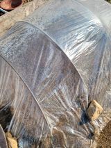 정지덕님의 작성글 사진