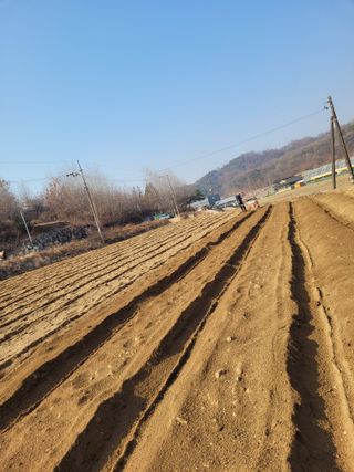 이름유순옥님의 기타작물 · 영농일지 작성글 사진