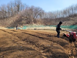 이름유순옥님의 기타작물 · 영농일지 작성글 사진